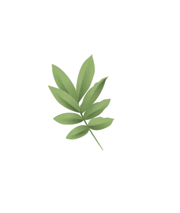 green leaf