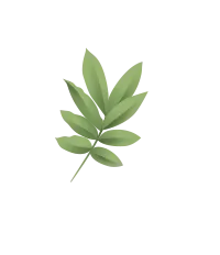 green leaf